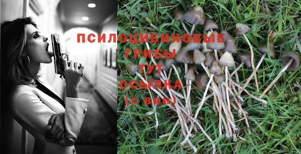 MDMA Premium VHQ Бородино