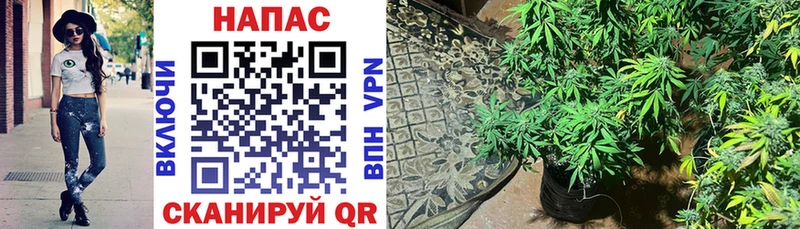 Марихуана LSD WEED Коркино